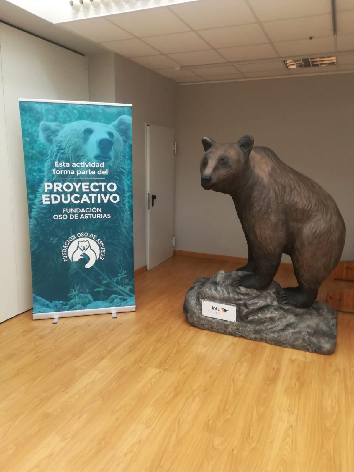 La exposición ‘Osos’ se traslada a Navia hasta el 11 de febrero